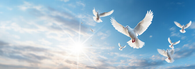 white doves, a symbol of love and peace, fly through the clouds in the blue sky. view of the sky from below.Sun shining. 