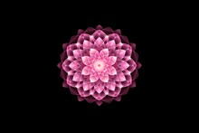 Pink Mandala Concentric Flower Center Kaleidoscope Isolated On Dark Background, Crystal Systematic Art Design Pattern