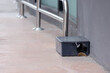 A black plastic rat trap on concrete floor. bait poison box for rat.