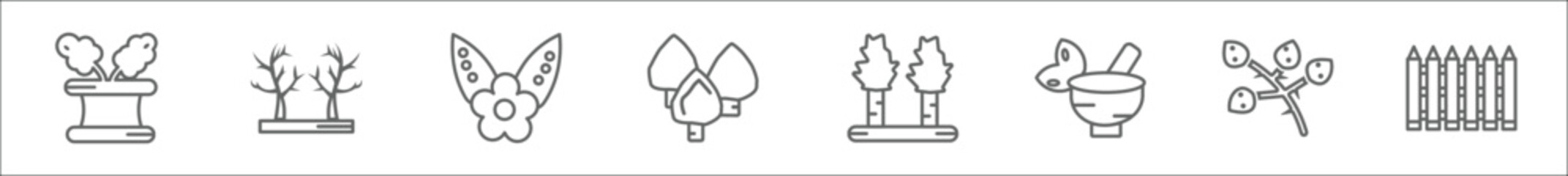 outline set of nature line icons. linear vector icons such as flowerpot, leafless tree, flower of leaves, white ash tree, bigtooth aspen tree, therapy, quaking aspen picket fence