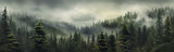 Fototapeta Las - panorama of a coniferous forest in the mist of tree tops.