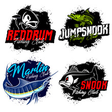 Fishing Logo. Bundle Of Unique And Fresh Fishing Logo Bundle Template. Great To Use As Any Fishing Company And Product Logo.