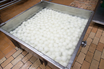 Wall Mural - Production of mozzarella at the factory. Balls of cheese float in a special solution. Last stage of cheese making. Italian hard cheese silano or caciocavallo, mozzarella. Healthy food manufacturing.