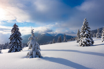 Wall Mural - Snow-covered fir trees in a winter clearing amidst the mountains. Blue sky with fluffy clouds. Landscape photography