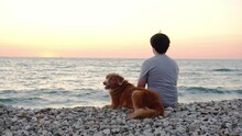 A Guy On The Beach With A Dog Sitting And Looking At The Sea. Man With Nova Scotia Duck Tolling Retriever At Sunset 