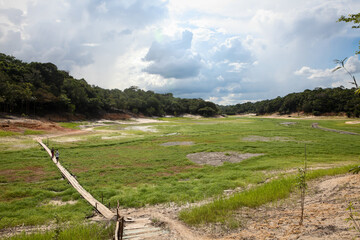 Wall Mural - Dry river in extreme drought in the Amazon Rainforest. Wooden bridge over the dry riverbed in the middle of the largest tropical forest in the world. Concept of climate change, global warming, ecology