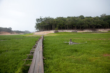 Wall Mural - Dry river in extreme drought in the Amazon Rainforest. Wooden bridge over the dry riverbed in the middle of the largest tropical forest in the world. Concept of climate change, global warming, ecology