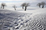 Fototapeta Konie - Layer of ash covering a field of freshly fallen snow
