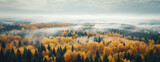 Aerial panoramic view of foggy morning in autumnal forest in remote location