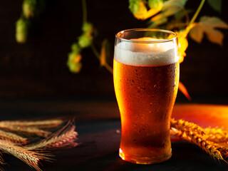 Wall Mural - Light cold beer on a dark background, drops of water, green cones of hops and ears of wheat. Copy space.