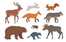 Set Of Forest Animals. Wild Woodland Mammal Animal Characters In Different Poses. Vector Icons Illustration Isolated On White Background.