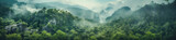 Fototapeta Las - Foggy mountain landscape. Fog and cloud mountain tropic valley landscape. Aerial view, wide misty panorama