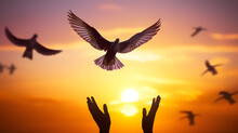 Silhouette Pigeon Return Coming To Hands In Air Vibrant Sunlight Sunset Sunrise Background. Freedom Making Merit Concept. Nature Animal People Hope Pray Holy Faith. International Day Of Peace Theme.