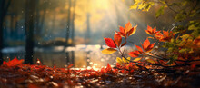 Fall Season Landscape, Forest Floor Covered With Fallen Leaves And Autumnal Sun Through Tree Foliage - Autumn Seasonal Background