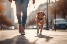Person Walking Dog