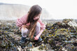 Little girl rock pooling and collecting sea shells at Hope Gap Beach between Seaford and Eastbourne, East Sussex. Beach and sea in foggy morning