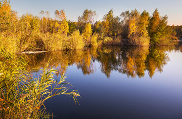 Sticker - Autumn lake