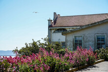 The Exterior Of An Abandoned House On Alcatraz Island In San Francisco, California. Pink Flowers In The Landscaping And Seagulls Flying Above The House.