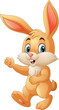 Cartoon funny rabbit on white background
