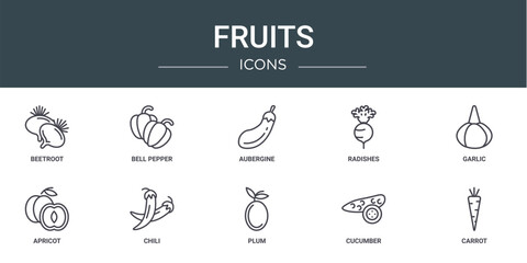 Wall Mural - set of 10 outline web fruits icons such as beetroot, bell pepper, aubergine, radishes, garlic, apric