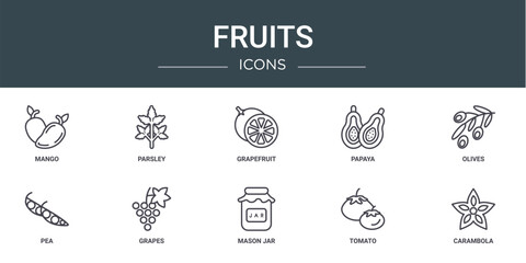 Poster - set of 10 outline web fruits icons such as mango, parsley, grapefruit, papaya, olives, pea, grapes v