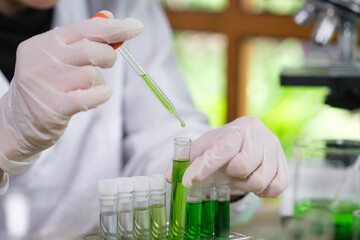 young scientist woman, laboratory and test tube with plants, research and analysis of leaves for eco