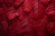 Surface material texture of red feathers overlapping in a flat pile