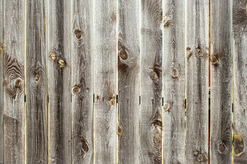 gray old wooden fence background, texture