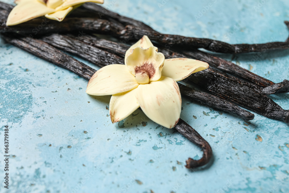 Aromatic vanilla sticks and flower on blue background