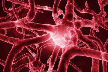 Wall Mural - Neuron cells in brain. 3d illustration..