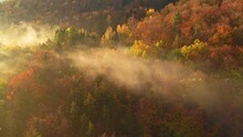 Aerial View Of Colorful Autumn Trees In The Morning Haze. Rays Of The Rising Sun Break Through The Branches Of Autumn Trees.