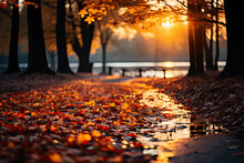 Fallen Leaves From Trees On The Ground In Puddles Near The Path With A Blurred Park And A River In The Background And The Sun Breaking Through The Trees In Autumn