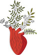 Outline and colorful illustration of an anatomic heart with flowers. Plants that sprout from the heart	
