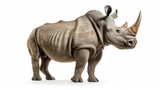 Fototapeta  - a White rhinoceros isolated on white background.