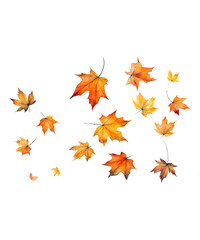 autumn leaves falling isolated ai generative