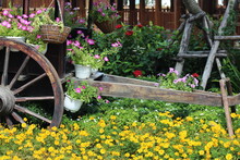 Wooden Cart With Flowers