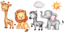 Jungle Animals: Giraffe, Lion, Zebra, Elephant; Watercolor  Hand Drawn Illustration