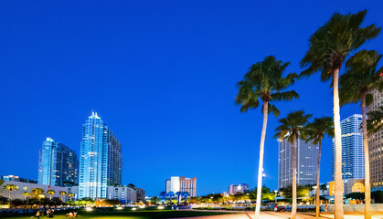 Wall Mural - Palms and skyscrapers in Curtis Hixon waterfront park in Tampa at night