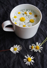 Cup with tea and daisy flowers on a dark background