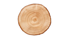 Cut Tree Trunk Isolated On Transparent Background Cutout