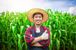 Japanese farmers is using a smart farm app on a tablet of corn farming