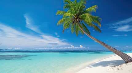 Wall Mural - Beautiful palm tree on a tropical island. Turquoise ocean and blue sky. Amazing summer vacation