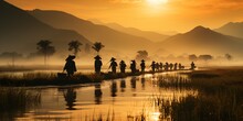 Asian Rice Farmer, Sunrise Landscape