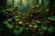 Produce an AI-rendered image of a tangled web of wild dewberries, with their trailing vines and clusters of dark, juicy fruits in a forest clearing