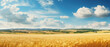 Beautiful summer rural natural landscape with ripe wheat fields, blue sky with clouds in warm day. Panoramic view of spacious hilly area.