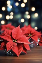 Close-Up Of Festive Red Christmas Ornaments And Poinsettia Plant On Wooden Table