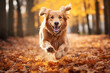 Healthy and happy active dog running in park. Generative AI