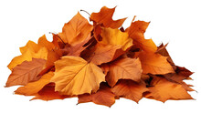 A Pile Of Autumn Colorful Leaves Isolated On A Transparent Or White Background, PNG