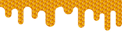 Wall Mural - Vector label for bee honey. Honeycombs with honey, and a symbolic simplified image of a bee as a design element. Organic and eco honey labels and tags with bees.