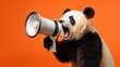 Giant Panda hold white loudspeaker and screaming. Advertising and sales concept